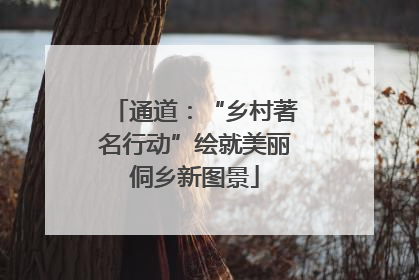 通道：“乡村著名行动”绘就美丽侗乡新图景